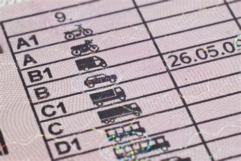 Carta de Condução Tudo o que precisa saber em 2021  LeasePlan Portugal