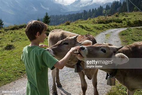 Braunwald Photos And Premium High Res Pictures Getty Images