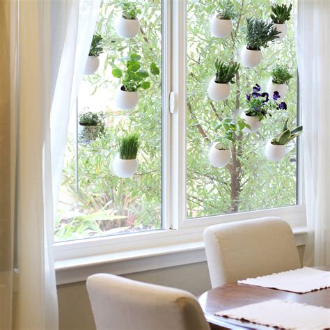 Window Pods Indoor Garden Set Of 3 Windowpods Touch Of Modern