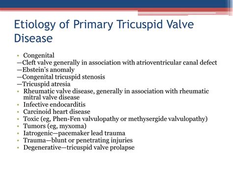 Ppt Tricuspid Valve Diseases Powerpoint Presentation Id281550