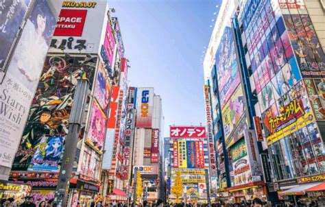 Japan travel guide: everything you need to know - Budget Direct Blog