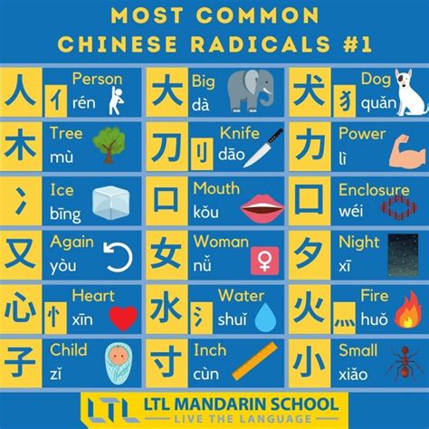 100 Most Common Chinese Characters Video Pdf And Quiz