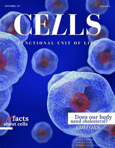 Cells Magazine By Aimée Durán Issuu