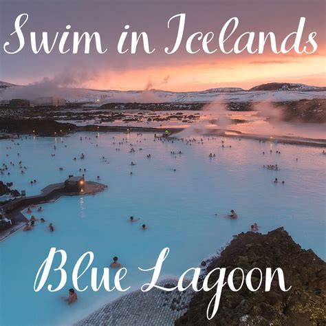 Swim In Icelands Blue Lagoon Lagoon Swimming Blue Lagoon