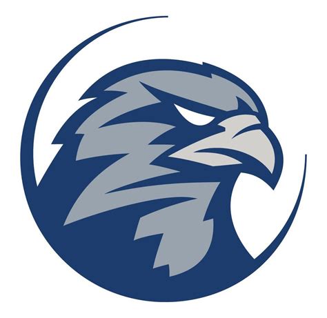 Blue Hawk Logo
