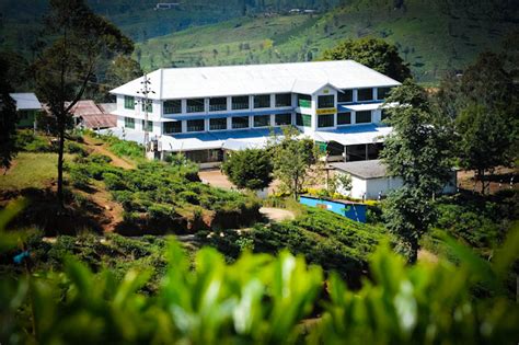 Clarendon Estate High Grown Ceylon Tea Dilmah Tea Plantation Sri Lanka