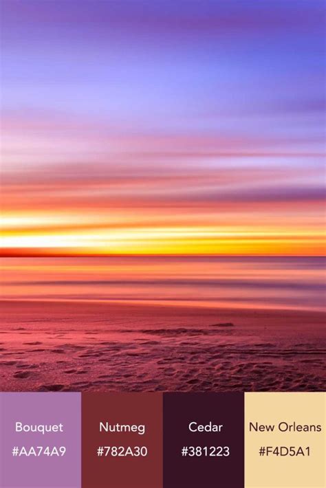 Sunset Color Palette With Hex Codes For You Download Now