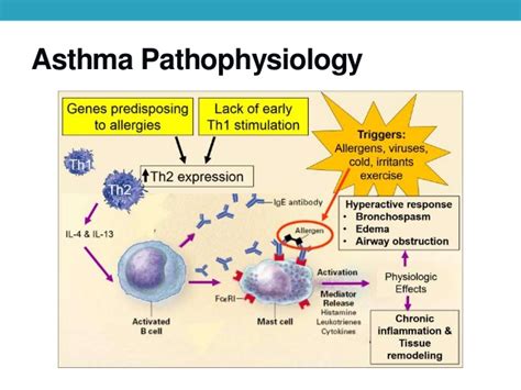 Specific.22 the finding that the number of circulating γδ cells is reduced in asthmatic subjects23. Bronchial asthma