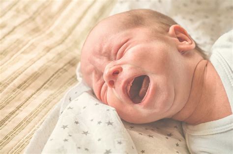 ¿por Qué Lloran Los Bebés Al Nacer Criar Con Sentido Común