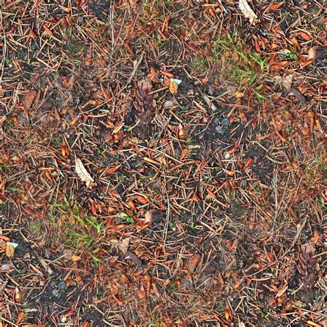 High Resolution Seamless Texture Of A Forest Ground With Autumn Leaves