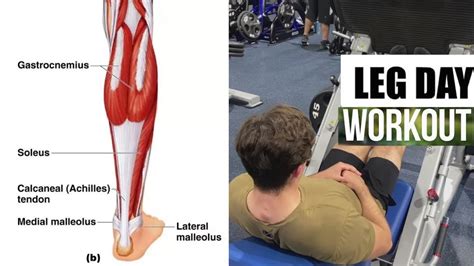 10 Min Leg Workout Quads Hamstring Glutes Youtube