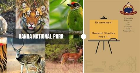 97 Most Beautiful Images In Kanha National Park Madhya Pradesh India