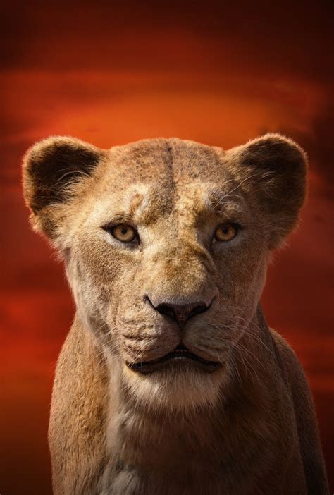 The Lion King 2019 Sarabi Textless By Mintmovi3 On