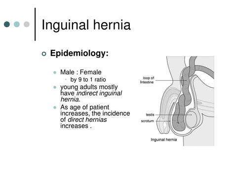 This is because the abdominal walls. PPT - HERNIAS PowerPoint Presentation, free download - ID:679255