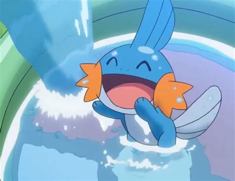 26 Fun And Interesting Facts About Mudkip From Pokemon Tons Of Facts
