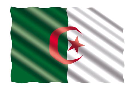 اطلعوا على كل الأخبار الدولية عن النيجر، للقراءة وإعادة المشاهدة على فرانس 24. ما هي دلالات علم الجزائر؟ - e3arabi