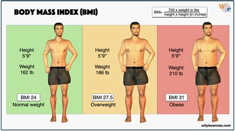 چگونه BMI را محاسبه کنیم راهنمای جامع