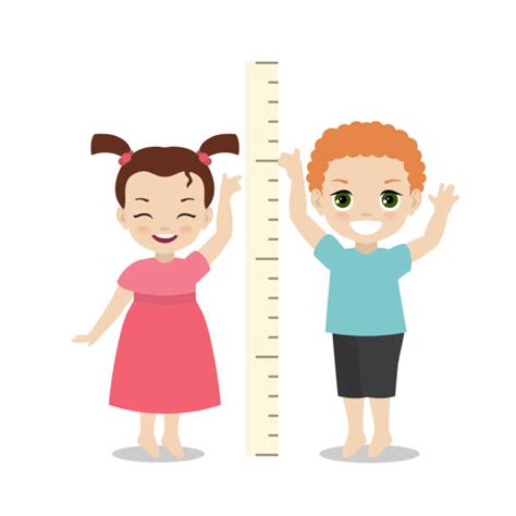 Human Height Illustrations Royalty Free Vector Graphics And Clip Art
