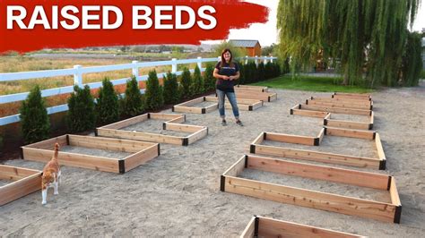 Setting Up Raised Beds Garden Answer Youtube