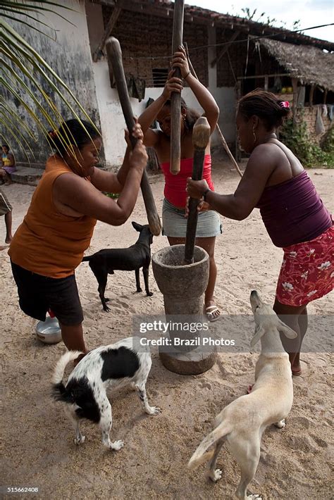 Black Women Pounding Rice Grain In Wooden Mortar At Agrovila Maruda