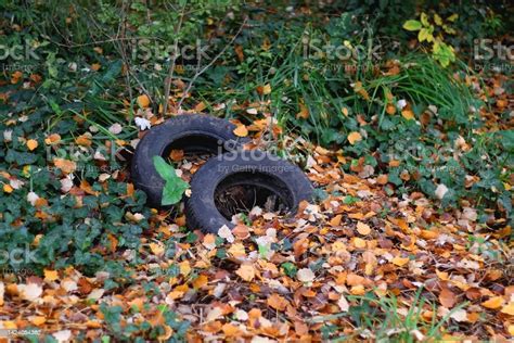 Litter In Nature Stock Photo Download Image Now Abandoned