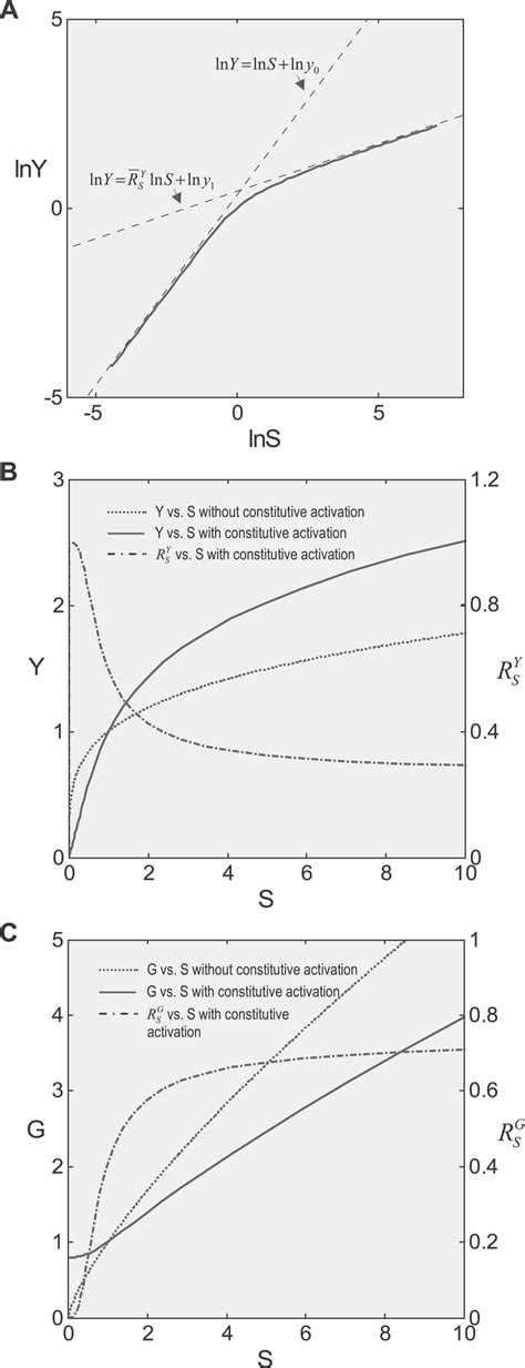 Effect Of Constitutive Activation On Systems Level Gains And Dose