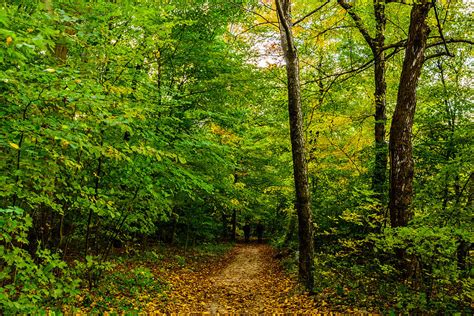 Autumn Stroll Photograph By Randy Scherkenbach Fine Art America