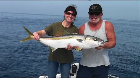 Yellowtail On The Slow Troll The Reel Brother Presents Youtube