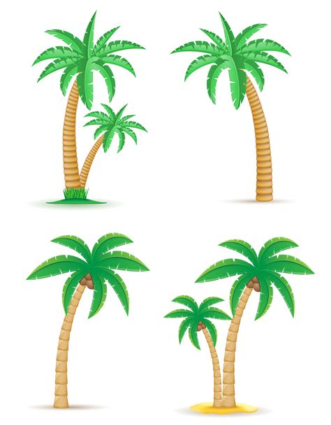 Palm Tropical Tree Set Icons Vector Illustration Vector Art At Vecteezy