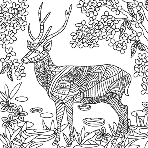 Deer Coloring Pages For Adults At Free Printable