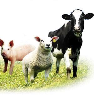 We've created pages with links to specific resources that may help you make those decisions. Livestock tracking in Africa goes high tech