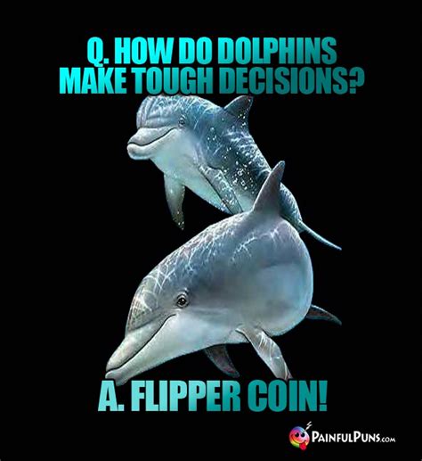 Dolphin Jokes Flipper Puns Porpoise Humor