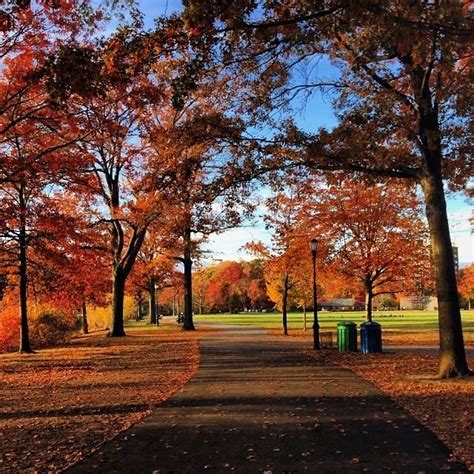 Top Ten Staten Island Fall Activities First Day Of Autumn Staten