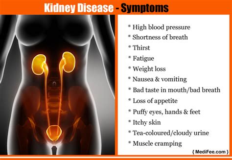 Pin On Conquering Kidney Problems