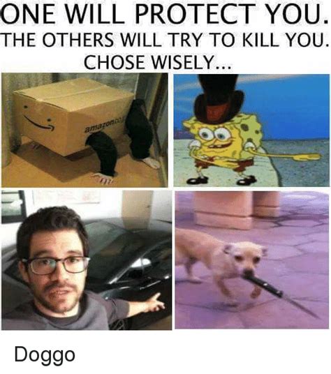 One Will Protect You The Others Will Try To Kill You Chose Wisely Doggo