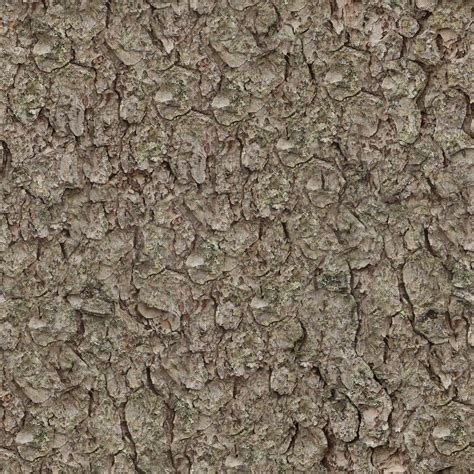 Zero Cc Tileable Pine Bark Texture Photographed And Made By Me Cc0