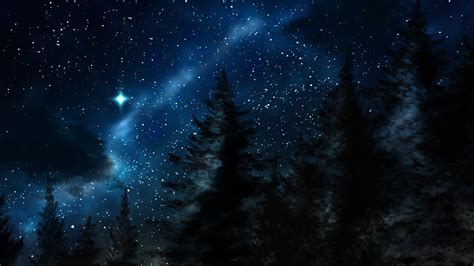 Starry Winter Night Hd Wallpaper Background Image