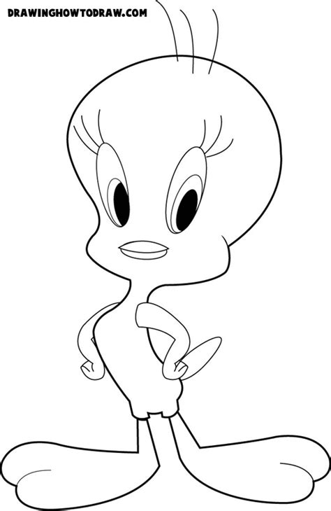 Tweety Bird From Looney Tunes Coloring Book Page Printout How To Draw