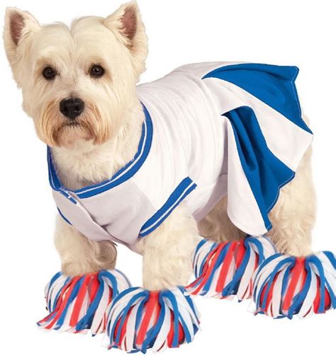 Halloween Dog Costume Ideas 32 Easy Cute Costumes For Your Canine
