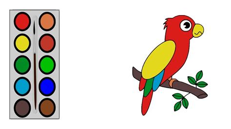 Cara Menggambar Burung Kakak Tua Menggambar Dan Mewarnai Burung Kakak