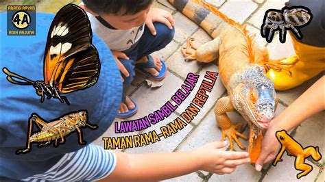 Lawatan Sambil Belajar Ke Taman Rama Rama And Reptilia Di Melaka Youtube