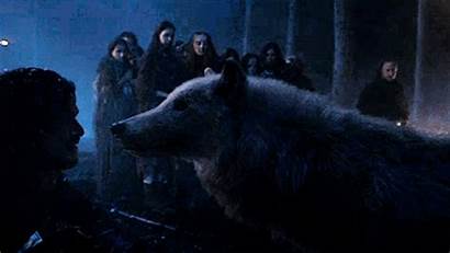 Ghost Jon Snow Thrones Got Wolf Direwolf