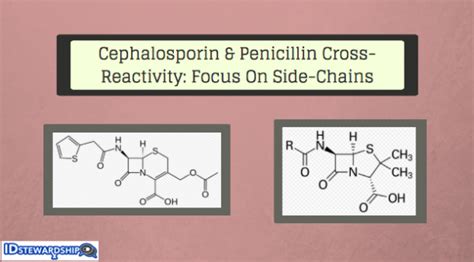 Cross Reactivity Between Cephalosporins And Penicillins A Story Of