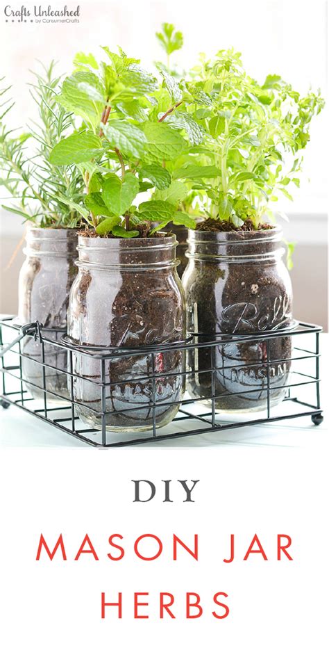Plants Are A Vibrant And Stylish Way To Add Life To Your Home This Diy