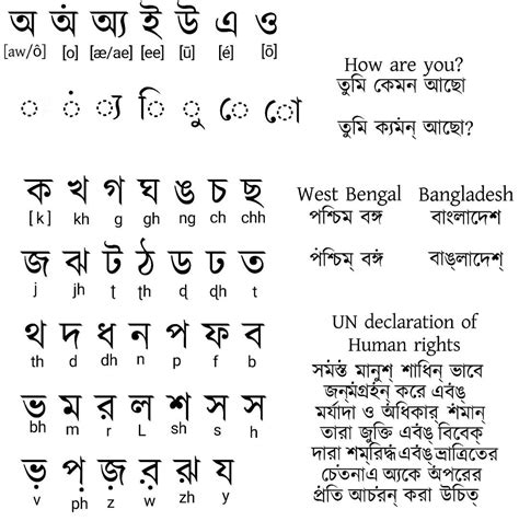 I Reformed The Bengali Writing System Better Rneography