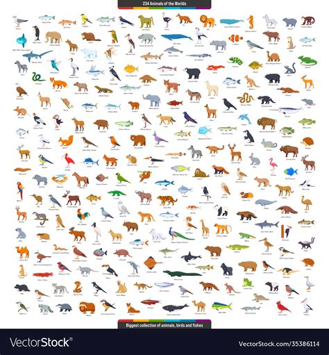 Animals World Big Collection Royalty Free Vector Image