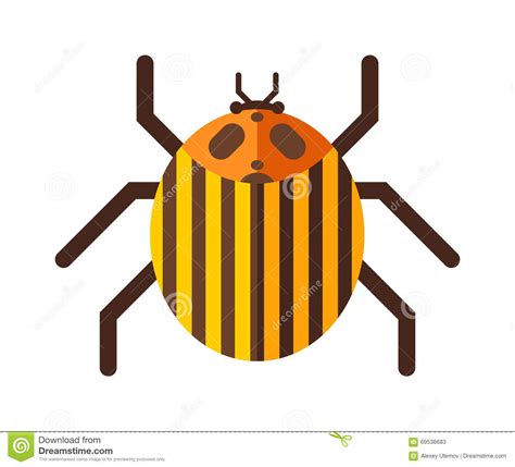 Beetle Flat Insect Bug In Cartoon Style Vector Illustration Stock