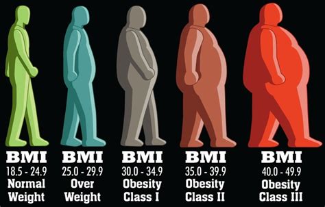Obesity Indicators And Health Conditions Women Health Info Blog