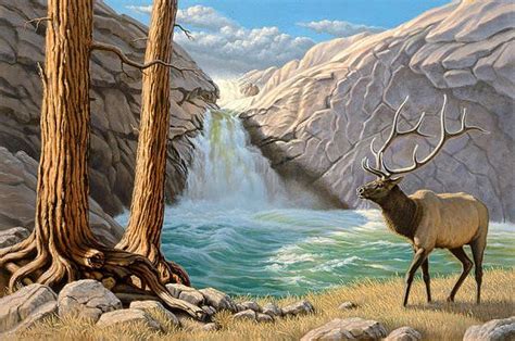 Rocky Mountain Elk Art Print By Paul Krapf In 2021 Wildlife Art