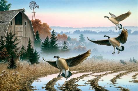foggy morning trio canada geese larry zach wildlife art
